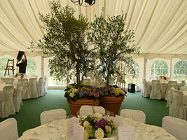 plant hire